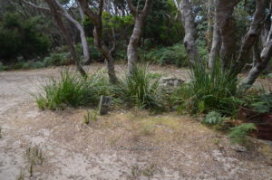 manuka campground arthur river tasmania