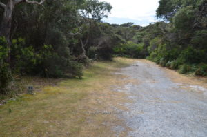 manuka campground arthur river tasmania